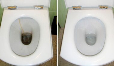 pilant druską į klozetą