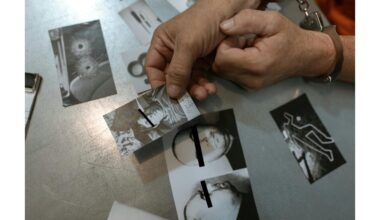 psichopatams smegenys mažesnės