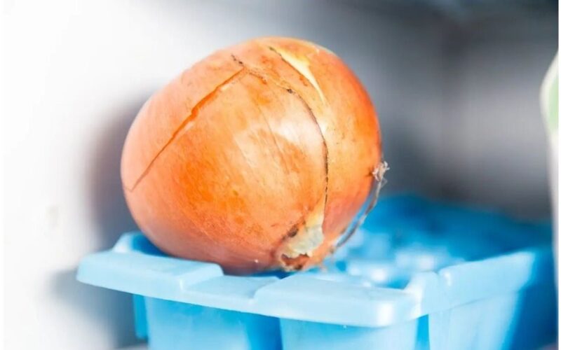 dėkite svogūną į šaldiklį