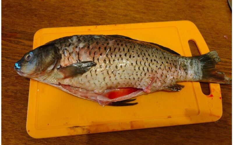 greitas be netvarkos mastelis