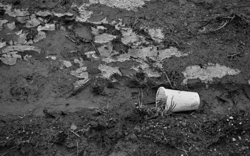 paaukštintos lysvės atgaivintos miško paklote