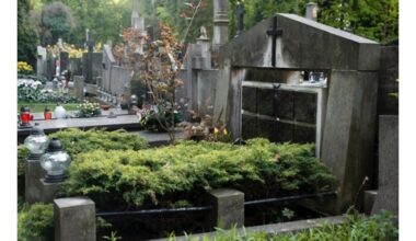 pakeiskite plastiką gyva atmintimi