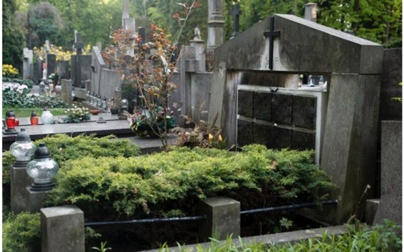 pakeiskite plastiką gyva atmintimi