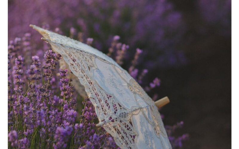 atgaivinti šalčio pažeistus levandų krūmus