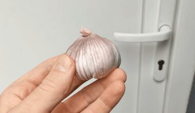 įtrynė česnaku duris