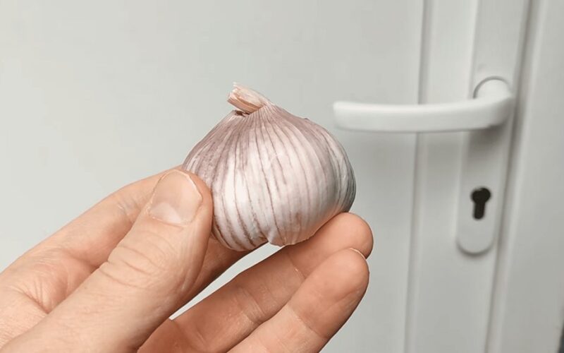 įtrynė česnaku duris