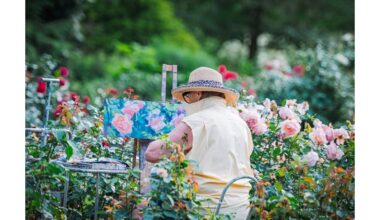 išgelbėjo rožių karalystę nuo grybelio
