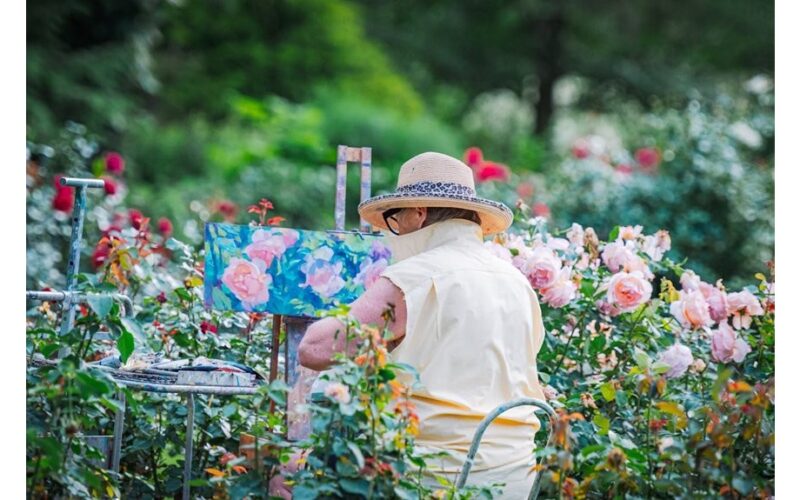 išgelbėjo rožių karalystę nuo grybelio