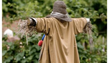 gąsdinantis šiaudinukas, atbaidantis paukščius