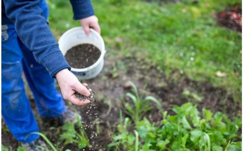 septyniasdešimt metų derlinga paveldėta žemė