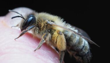 odos problemos atrodo blogesnės nei iš tikrųjų