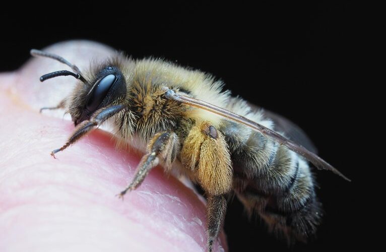 odos problemos atrodo blogesnės nei iš tikrųjų