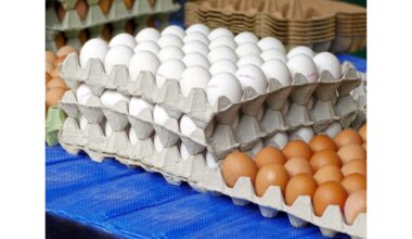 mirkymo kiaušinių dėžučių triukas