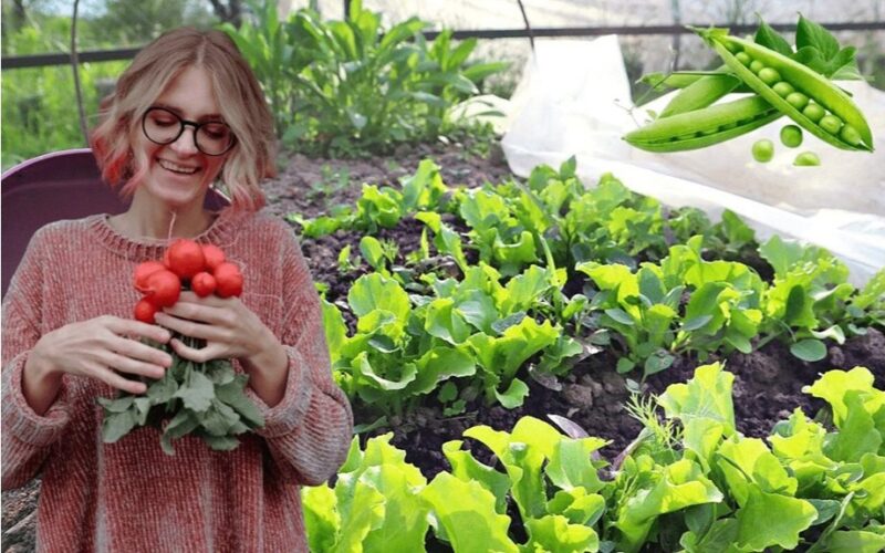 pavasario sodas duoda gausų derlių