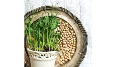 pavasario vitaminai namuose