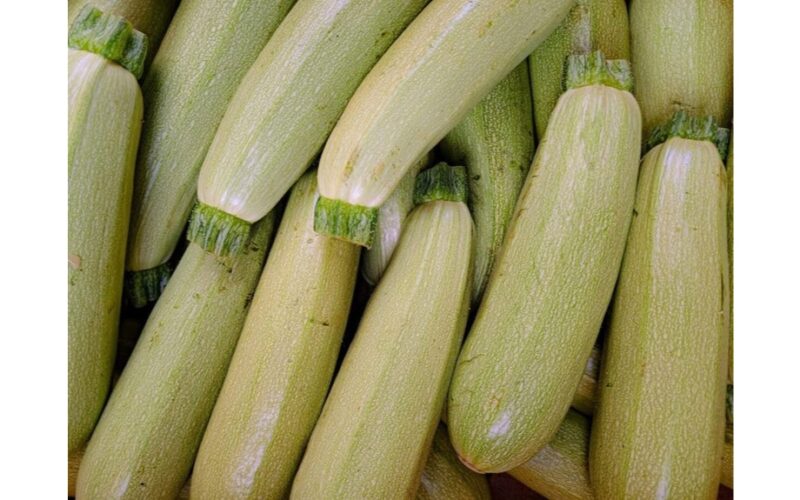 squash kompanioninių augalų auginimo privalumai