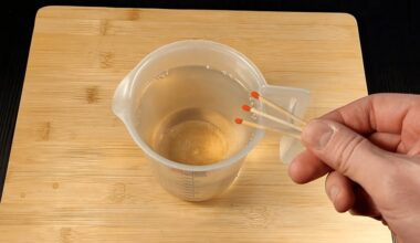 parduotuvėje pirktas daigų trąšos praeityje