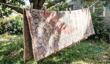 džiovinkite kilimus saulėje vieną valandą