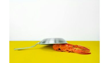 skausmo skonis perkurta receptas