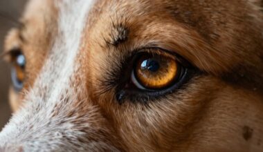 Vadovėliai turėtų būti perrašyti