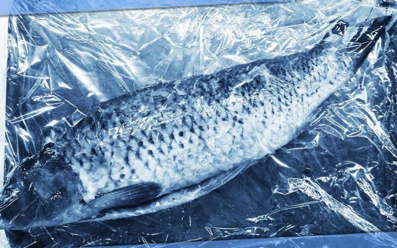 atskaldyti žuvį greitai nesugadinant skonio