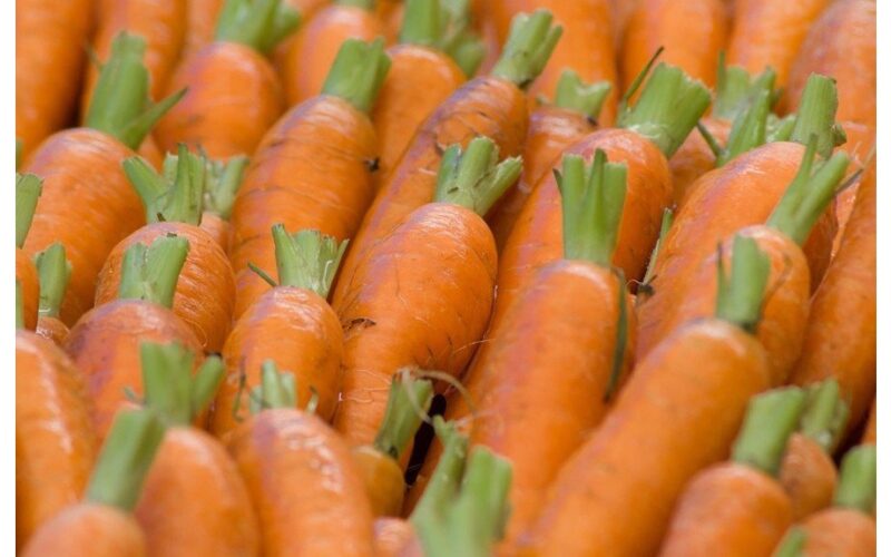 plonas vanduo saldžios šaknys