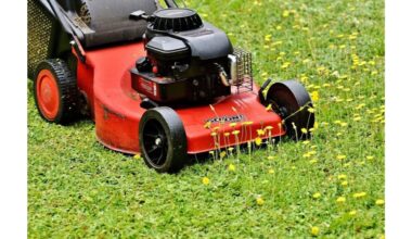 trys vejos atkūrimo žingsniai