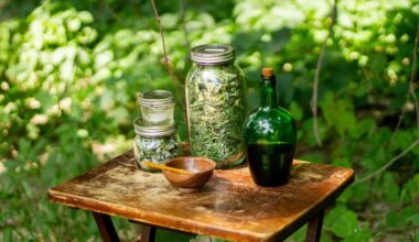 trys stiprūs pavasario žoliniai augalai