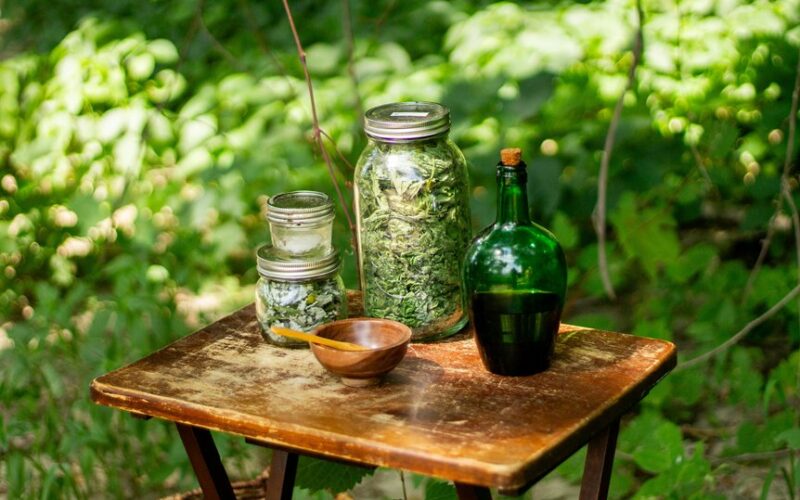 trys stiprūs pavasario žoliniai augalai