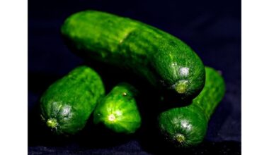 suvynioti agurkai nuskinti prieš dešimt dienų