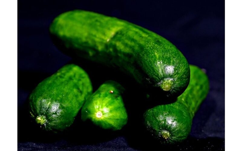 suvynioti agurkai nuskinti prieš dešimt dienų