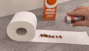 tualetinis popierius cinamonas dantų pasta repelentas