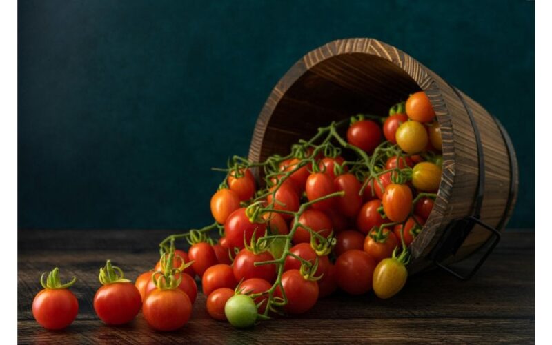 pomidorai bijomi kaip nuodai