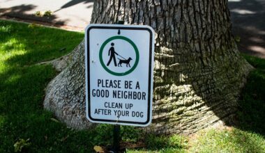 medžių sodinimo atstumų ginčai