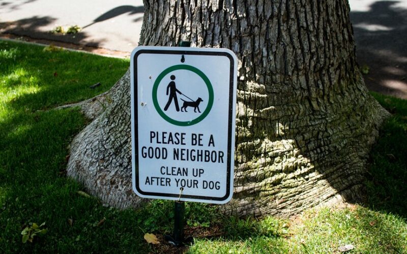 medžių sodinimo atstumų ginčai