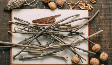 paverskite šakas sodų auksu