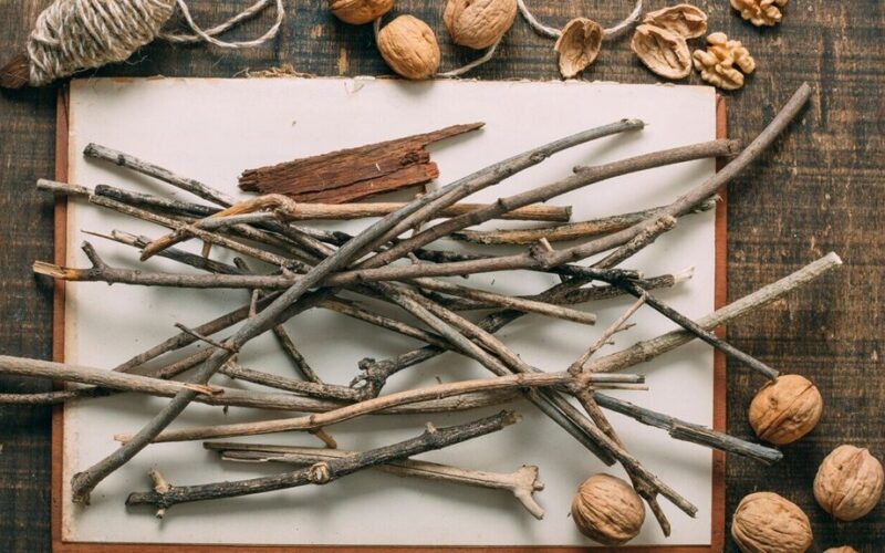 paverskite šakas sodų auksu