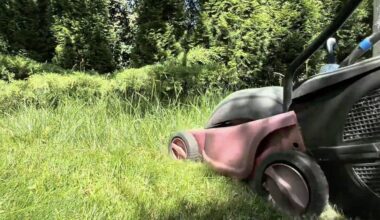 paversti žolę auksu