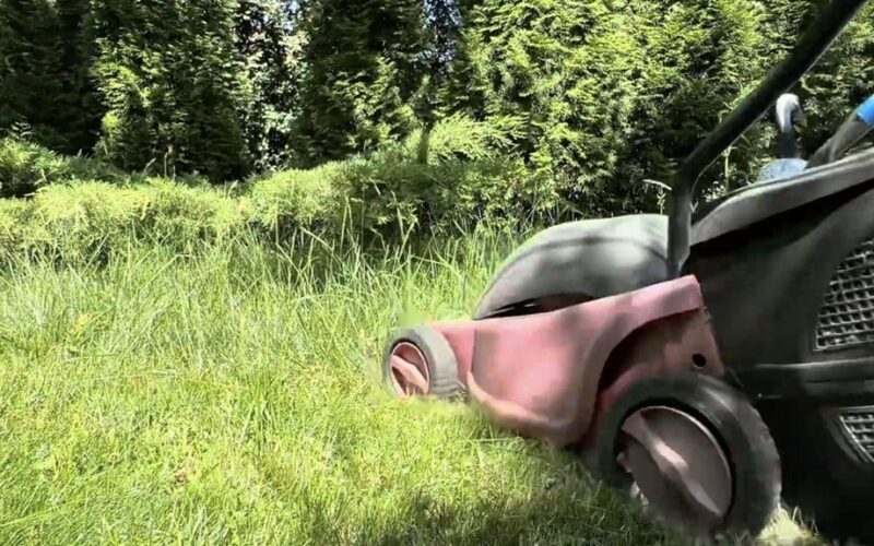 paversti žolę auksu