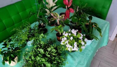 naudotas kepimo agentas ant augalų