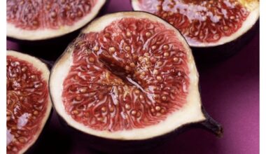 kaimas susirenka pjauti derlių