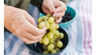plaukite vynuoges sūriu vandeniu