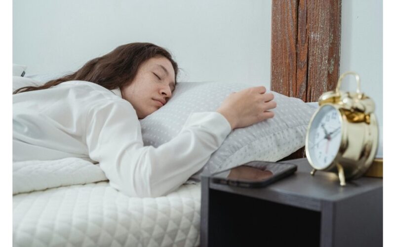 koks gyvūnas atitinka tavo chronotipą