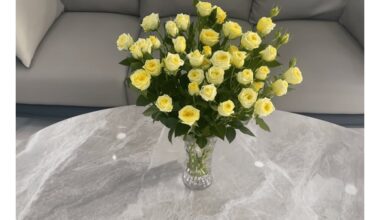 kodėl variniai laidai rožės