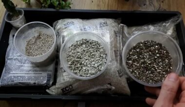 sliekai naudingi sodo dirvožemiui