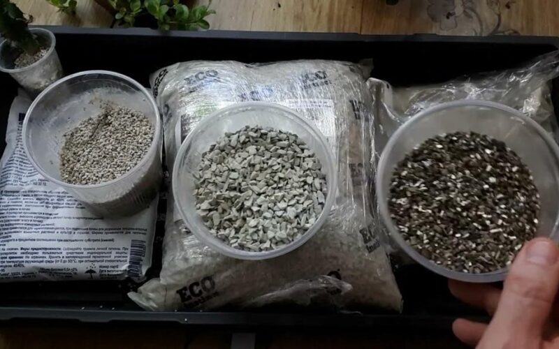 sliekai naudingi sodo dirvožemiui