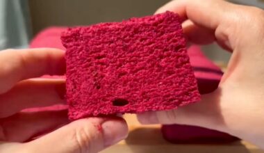 15 minučių blenderio obuolių zefyras