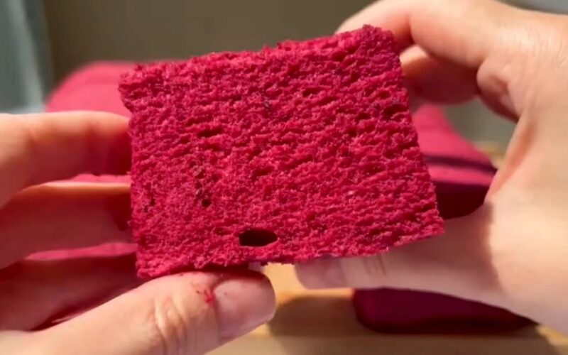 15 minučių blenderio obuolių zefyras