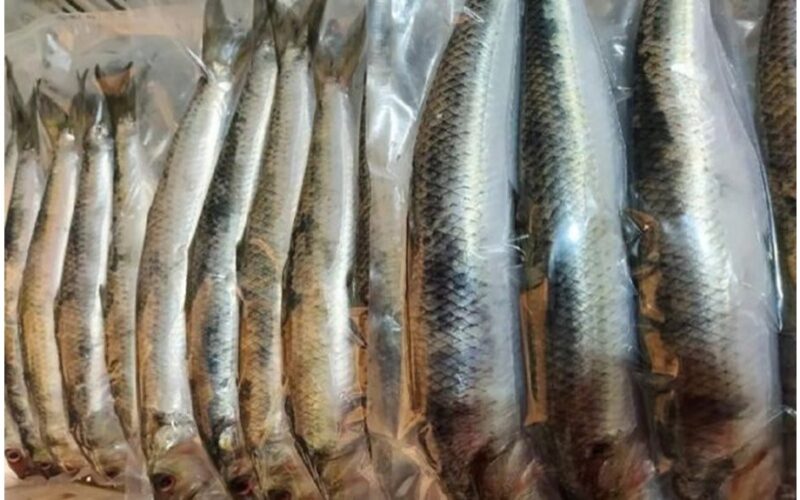 vengti nuolaidų už silkės pirkinius