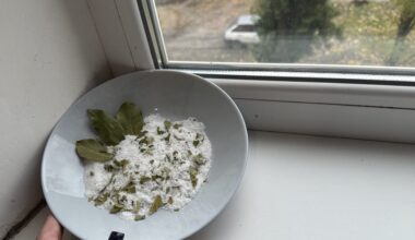dubuo su druska ir lauro lapu